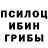 Псилоцибиновые грибы Cubensis belladonnq