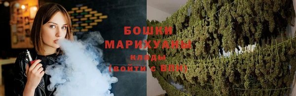 прущие грибы Навашино
