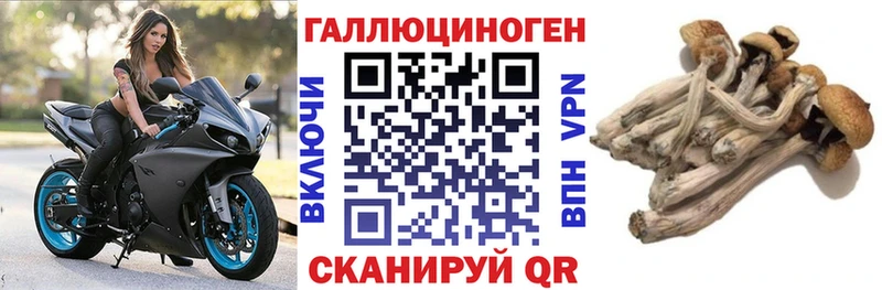 Псилоцибиновые грибы MAGIC MUSHROOMS  закладка  Александров 