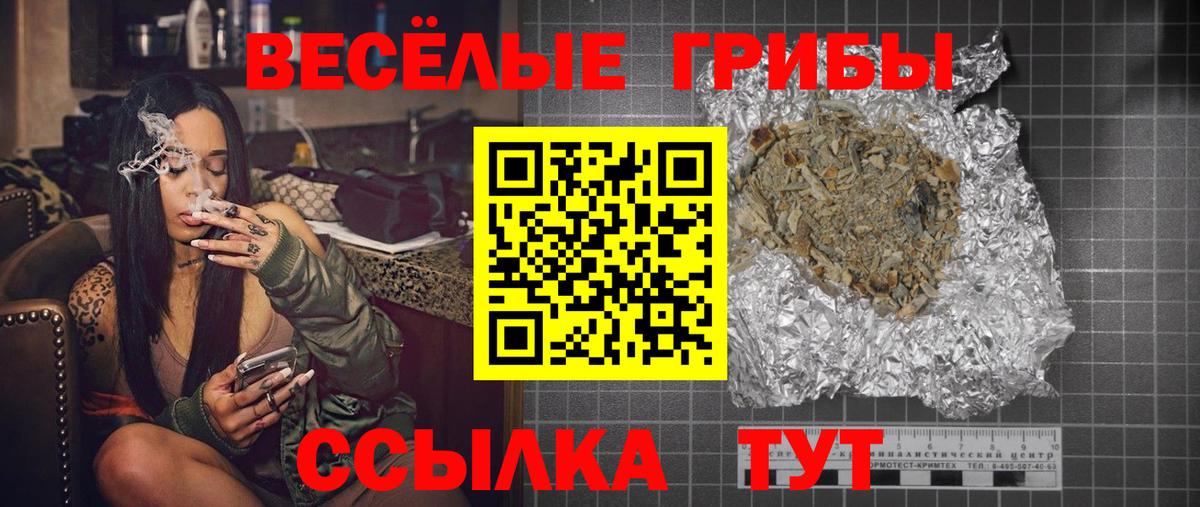 Галлюциногенные грибы Psilocybe  Вход с VPN  Александров 